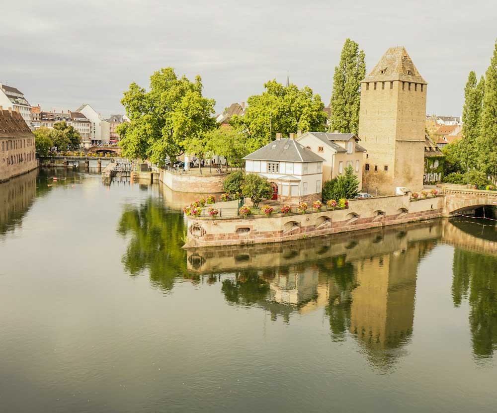 Golden Tree conciergerie à Strasbourg