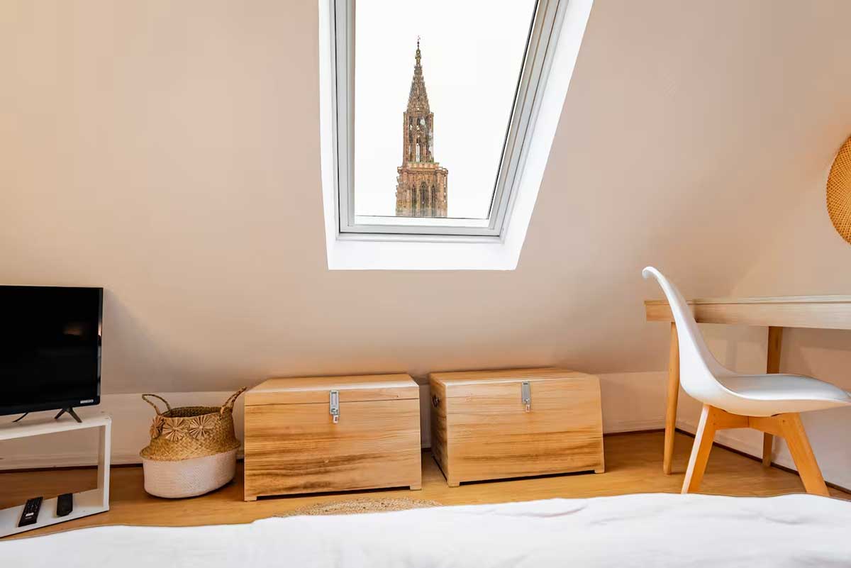 Logement vue imprenable cathedrale strasbourg