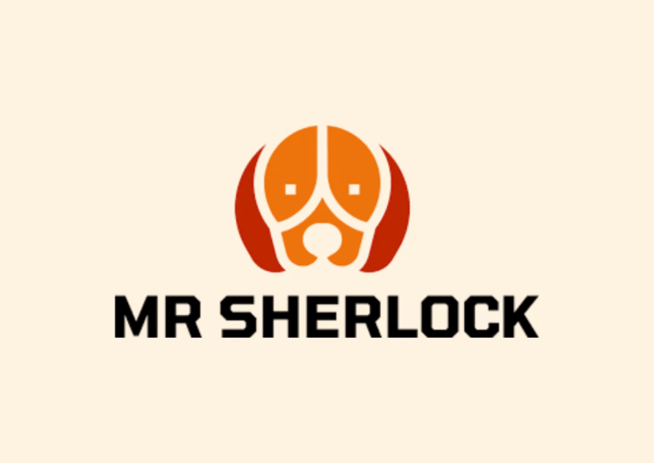Automatiser conciergerie avec Mr Sherlock - Interface de gestion Airbnb Booking Strasbourg Alsace