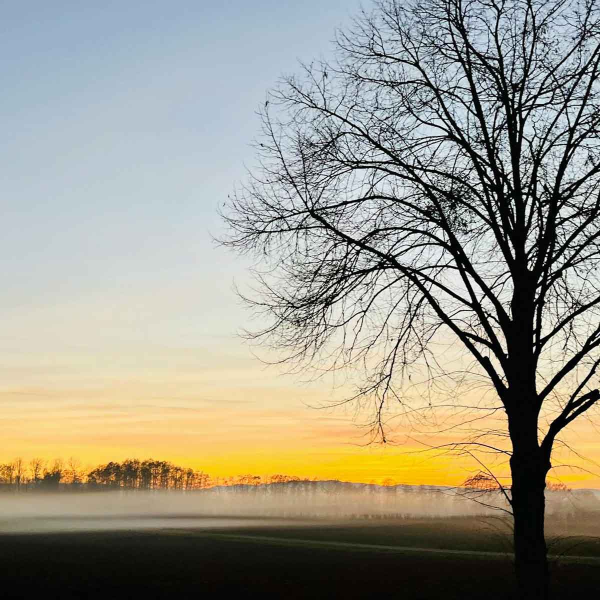 Conciergerie Airbnb Saverne