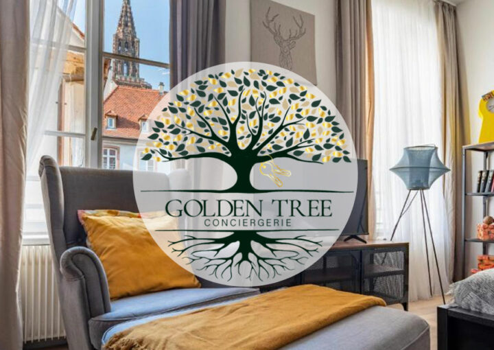 Vue panoramique de Strasbourg avec la Petite France et ses maisons à colombages pour location courte durée