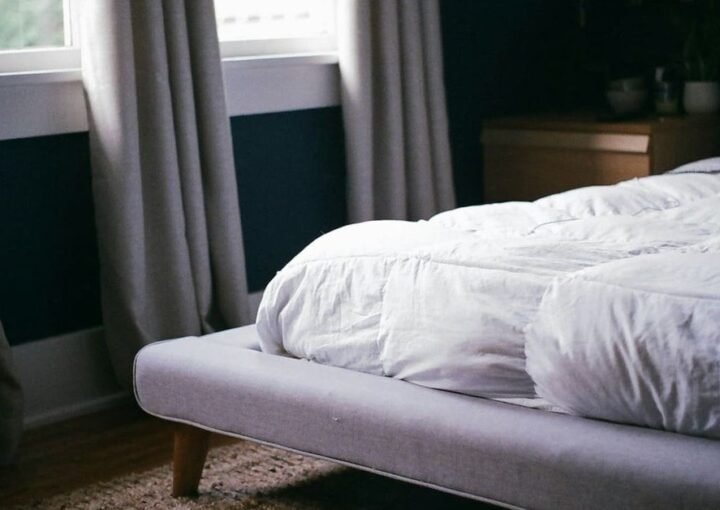 Punaises de lit en location courte durée : prévenir, réagir