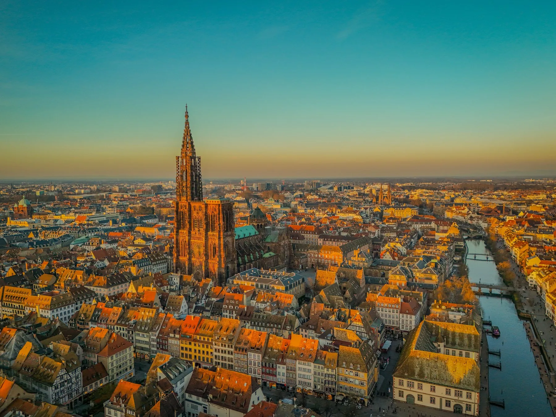 Location Strasbourg cathédrale Golden Tree