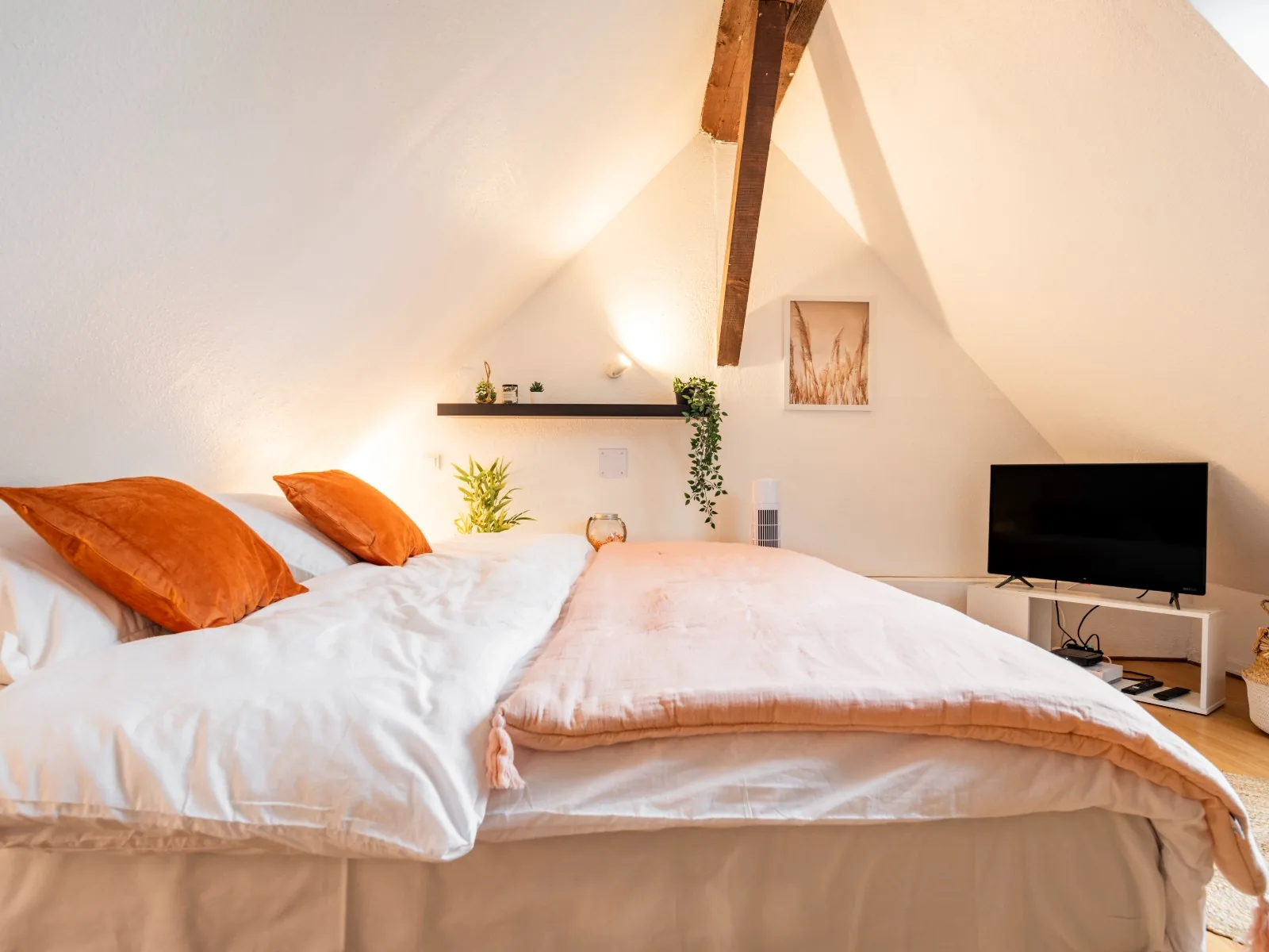 Logement Airbnb Strasbourg Impasse des Bouchers chambre Golden Tree